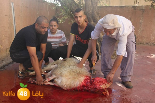 dabe7 ludj31 (82).JPG